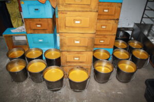 Przetopiony wosk pszczeli z pasieki Robert Łaszczych